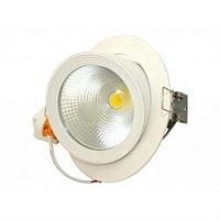  Downlight FL-LED DLC 30W 4200K 30W Foton Lighting (605788)